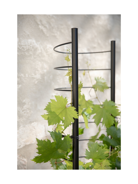 Eva Solo Outdoor - Simply Grow tuki ulkoruukkuun Ø37cm - MUSTA - photo 3 Eva Solo Outdoor - Simply Grow tuki ulkoruukkuun Ø37cm - MUSTA | Stockmann - photo 3