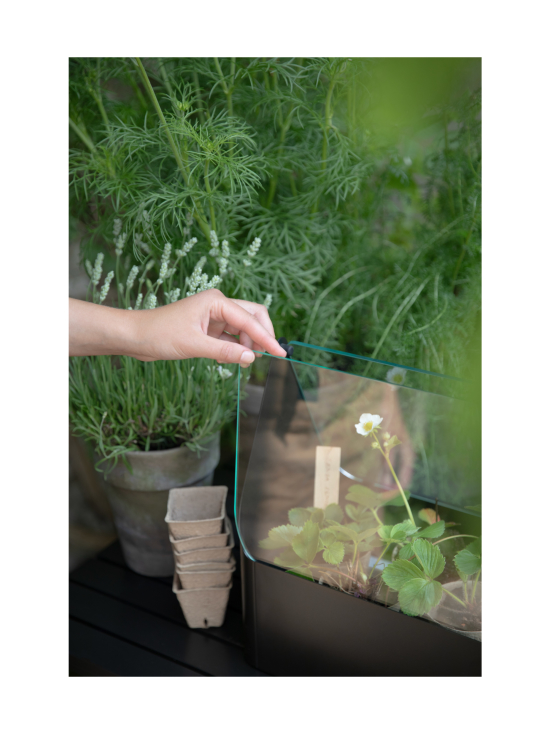 Eva Solo Outdoor - Simply Grow minikasvihuone - MUSTA - photo 6 Eva Solo Outdoor - Simply Grow minikasvihuone - MUSTA | Stockmann - photo 6