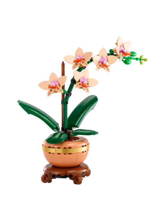 LEGO BOTANICALS - LEGO Botanicals Miniorkidea 10343 | Stockmann - photo 3