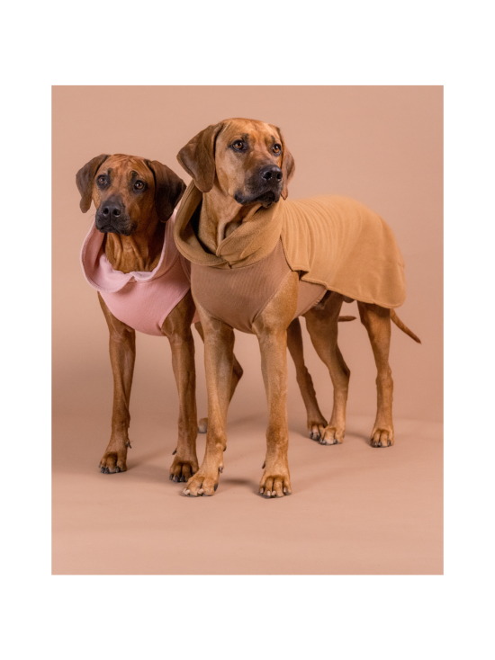 PAIKKA - PAIKKA Seawool Shirt for Dogs Brown - 9 - photo 6 PAIKKA - PAIKKA Seawool Shirt for Dogs Brown - 9 | Stockmann - photo 6