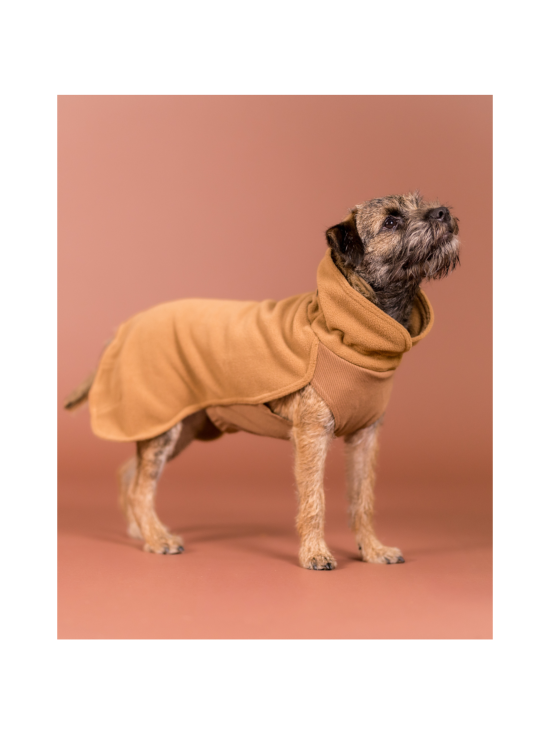 PAIKKA - PAIKKA Seawool Shirt for Dogs Brown - 9 | Stockmann - photo 7