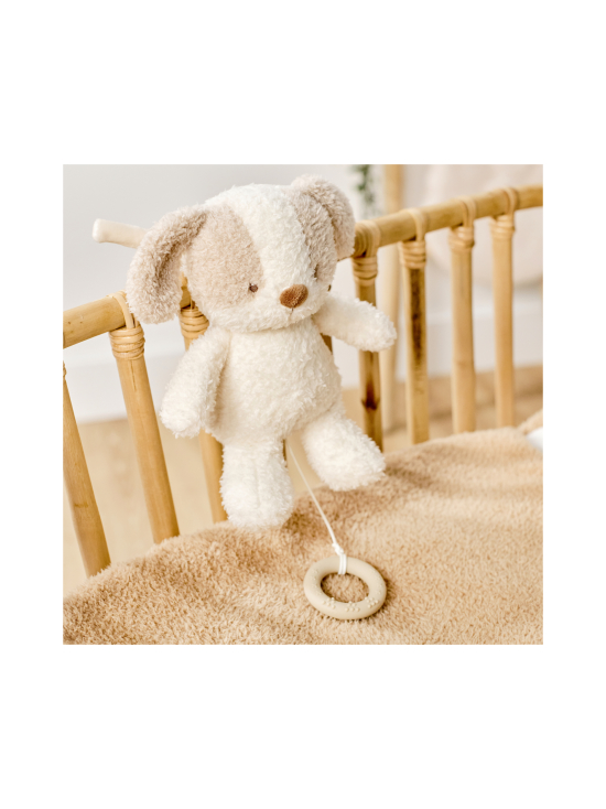 NATTOU - NATTOU Teddy Soiva pehmokoiranpentu, 16 cm | Stockmann - photo 3