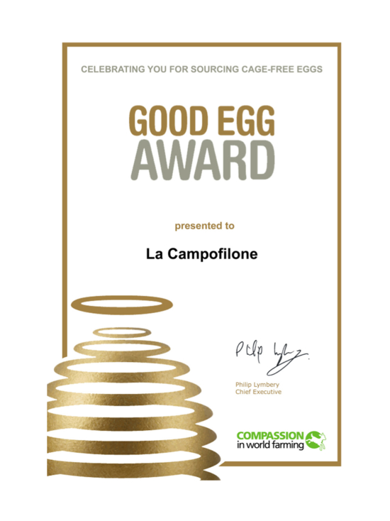 La Campofilone - Pasta Tagliatelle 250g - photo 5 La Campofilone - Pasta Tagliatelle 250g | Stockmann - photo 5