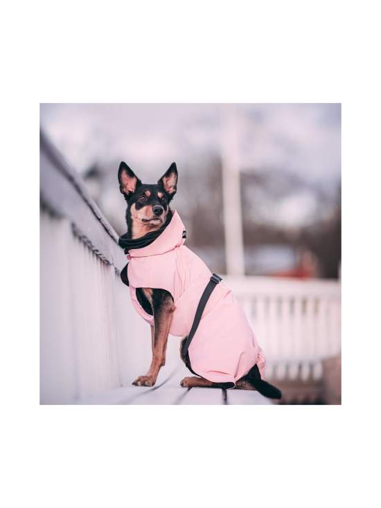 PAIKKA - Visibility Raincoat Lite Pink for Dogs - 4 - photo 5 PAIKKA - Visibility Raincoat Lite Pink for Dogs - 4 | Stockmann - photo 5
