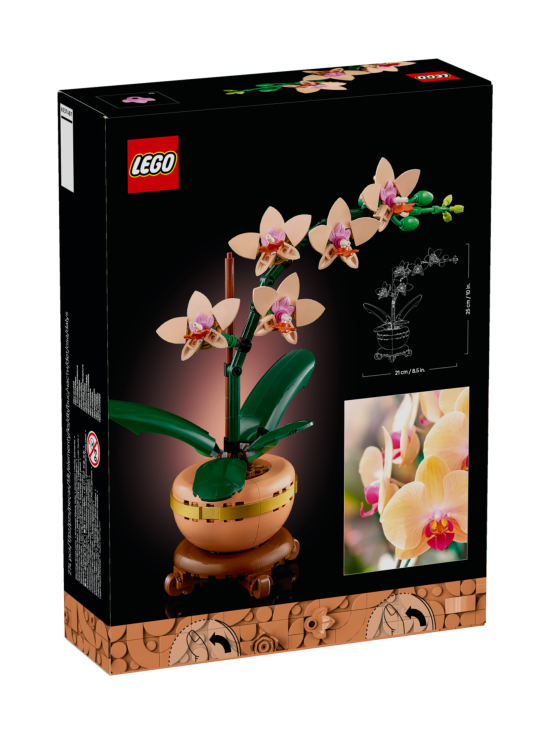 LEGO BOTANICALS - LEGO Botanicals Miniorkidea 10343 | Stockmann - photo 2