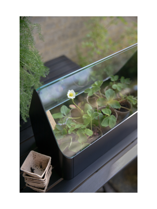 Eva Solo Outdoor - Simply Grow minikasvihuone - MUSTA - photo 4 Eva Solo Outdoor - Simply Grow minikasvihuone - MUSTA | Stockmann - photo 4