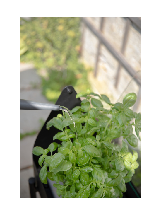 Eva Solo Outdoor - Simply Grow minikasvihuone jalustal - MUSTA - photo 6 Eva Solo Outdoor - Simply Grow minikasvihuone jalustal - MUSTA | Stockmann - photo 6