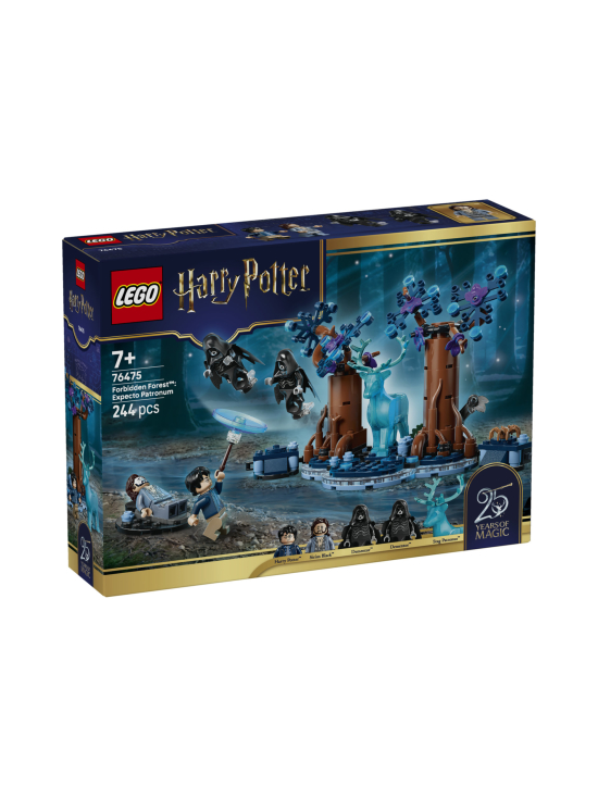 LEGO HARRY POTTER - LEGO Harry Potter TM Kielletty metsä: Odotum suojelius 76475 | Stockmann - photo 1