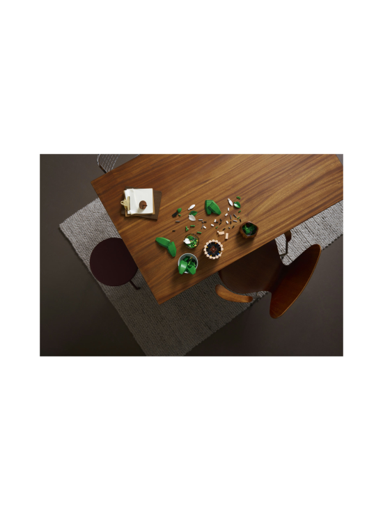 LEGO BOTANICALS - LEGO Botanicals Viirivehka 11504 | Stockmann - photo 2