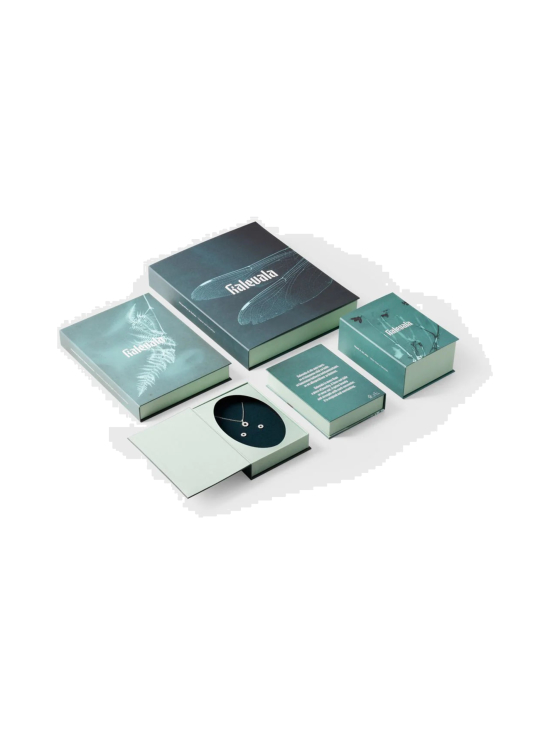 Kalevala - Sukkula-sormus hopea - 2451180190 | Stockmann - photo 2