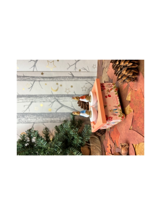 TROUSSELIER - TROUSSELIER Peter Rabbit tanssiva soittorasia ”Mansikat” | Stockmann - photo 7