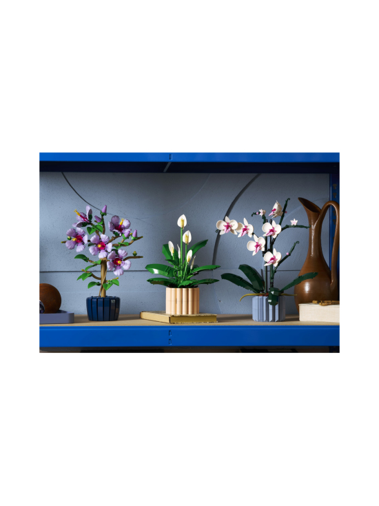 LEGO BOTANICALS - LEGO Botanicals Viirivehka 11504 | Stockmann - photo 3