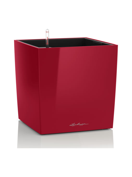 Lechuza - Cube Premium 40 Punainen Altakasteluruukku pyörillä ∅40x40cm korkeus40cm - PUNAINEN KIILTÄVÄPINTA - photo 1 Lechuza - Cube Premium 40 Punainen Altakasteluruukku pyörillä ∅40x40cm korkeus40cm - PUNAINEN KIILTÄVÄPINTA | Stockmann - photo 1