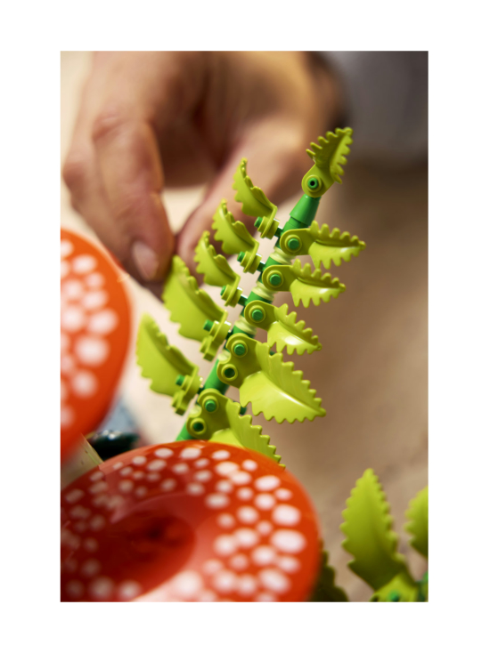 LEGO BOTANICALS - LEGO Botanicals Metsän sienet 11505 | Stockmann - photo 4
