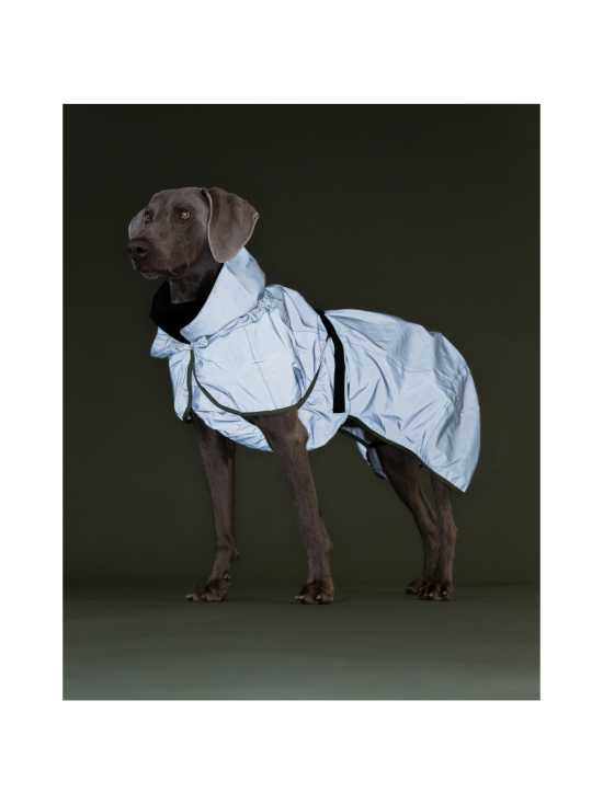 PAIKKA - PAIKKA Reflective Shell Jacket Green - VIHREÄ - photo 2 PAIKKA - PAIKKA Reflective Shell Jacket Green - VIHREÄ | Stockmann - photo 2