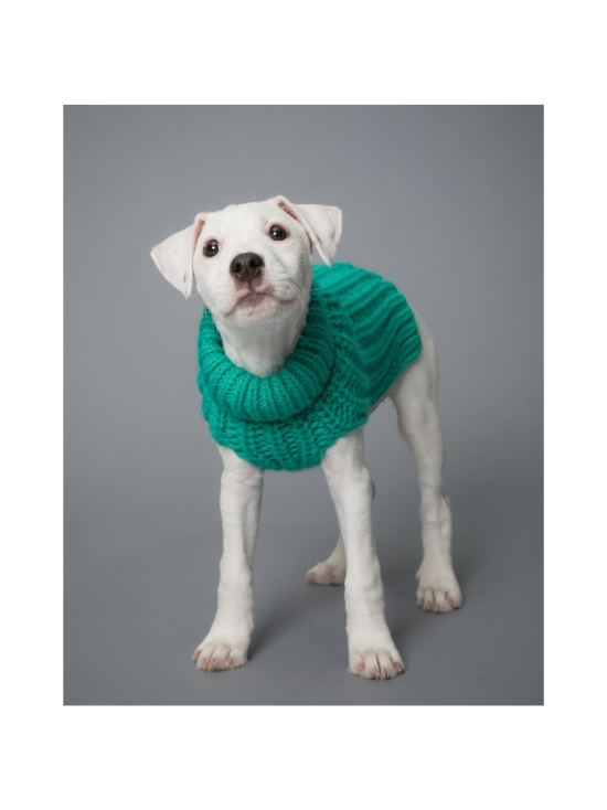 PAIKKA Knit Sweater Green