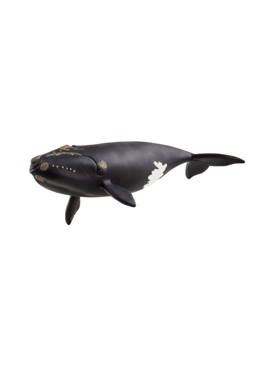 SCHLEICH - SCHLEICH WILD LIFE Pohjanmustavalas - photo 1 SCHLEICH - SCHLEICH WILD LIFE Pohjanmustavalas | Stockmann - photo 1