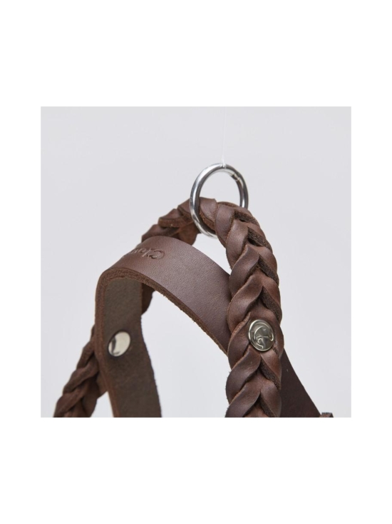 Cloud 7 - Saddle Brown nahkavaljaat koiralle - 8 - photo 2 Cloud 7 - Saddle Brown nahkavaljaat koiralle - 8 | Stockmann - photo 2