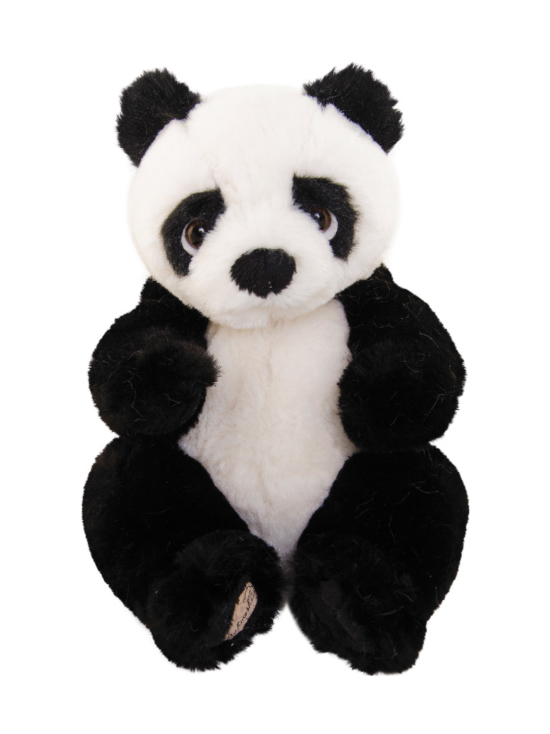 BUKOWSKI - BUKOWSKI Pandan pentu Jie Jie, 20 cm - photo 1 BUKOWSKI - BUKOWSKI Pandan pentu Jie Jie, 20 cm | Stockmann - photo 1