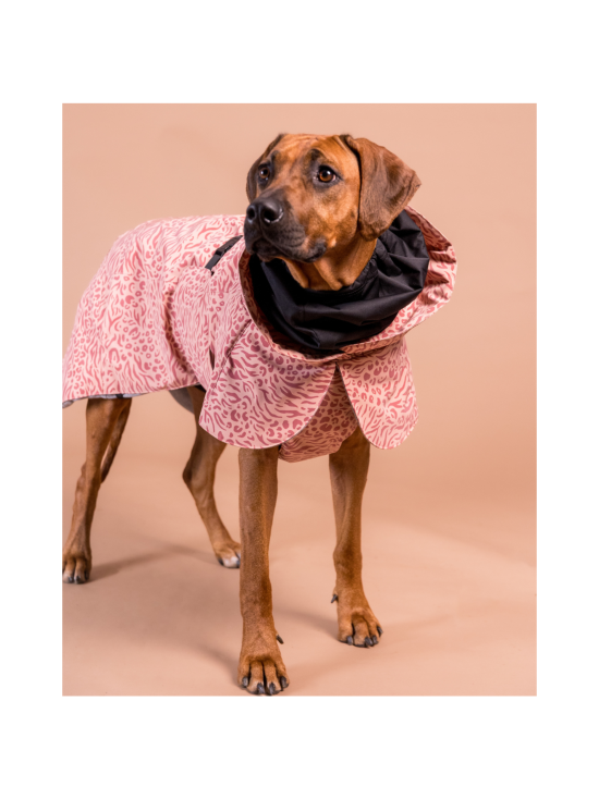 PAIKKA - PAIKKA Visibility Winter Jacket for Dogs Red Mix - 4 - photo 5 PAIKKA - PAIKKA Visibility Winter Jacket for Dogs Red Mix - 4 | Stockmann - photo 5