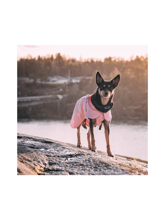 PAIKKA - Visibility Raincoat Lite Pink for Dogs - 4 - photo 6 PAIKKA - Visibility Raincoat Lite Pink for Dogs - 4 | Stockmann - photo 6