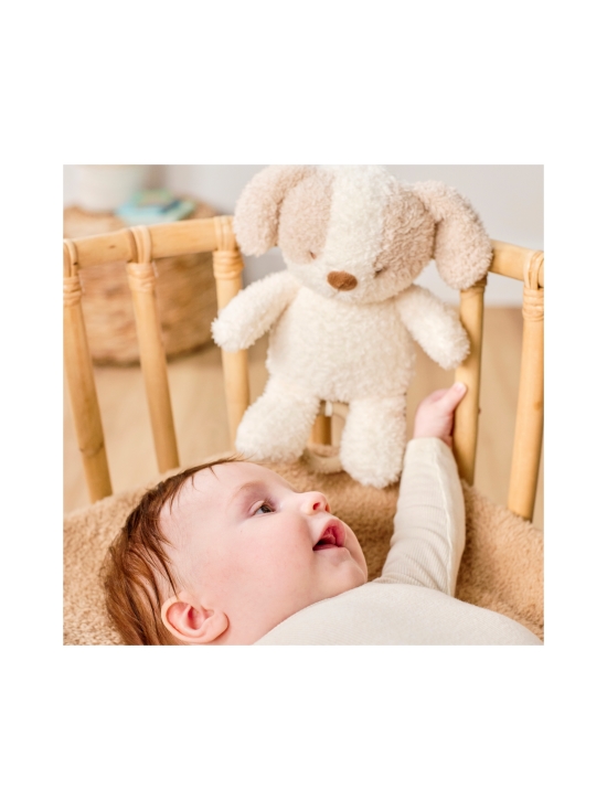 NATTOU - NATTOU Teddy Soiva pehmokoiranpentu, 16 cm | Stockmann - photo 4