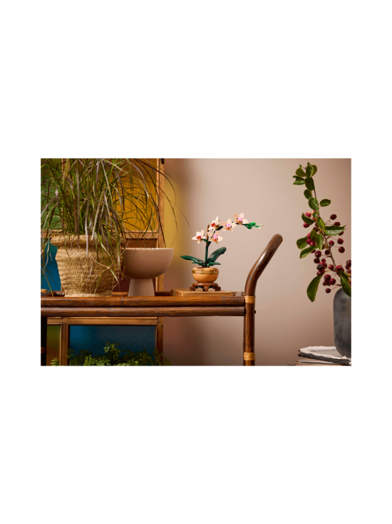 LEGO BOTANICALS - LEGO Botanicals Miniorkidea 10343 | Stockmann - photo 5