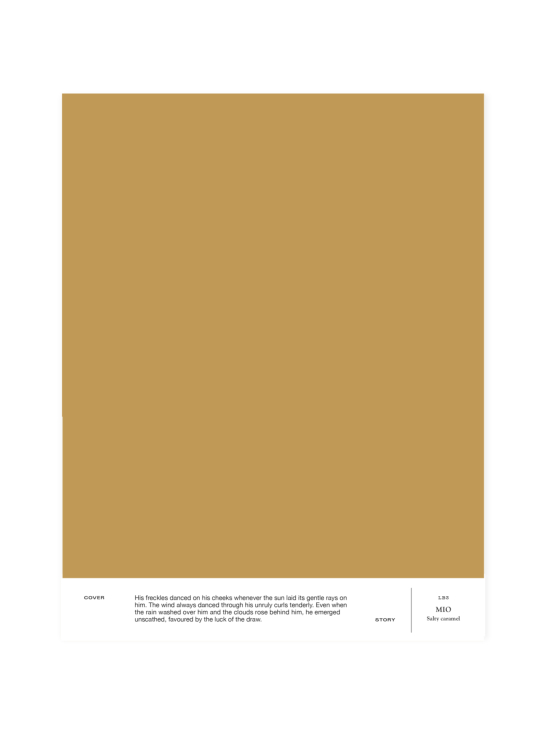 Sävymalli LB3 MIO - salty caramel