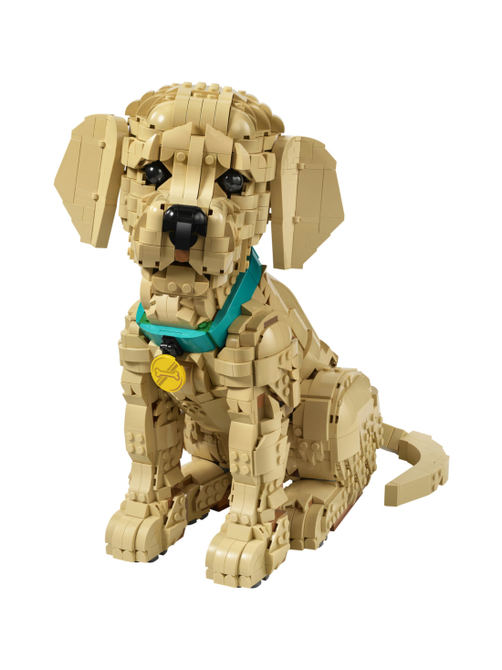 LEGO ICONS - LEGO Icons Kultaisen noutajan pentu 11384 | Stockmann - photo 3