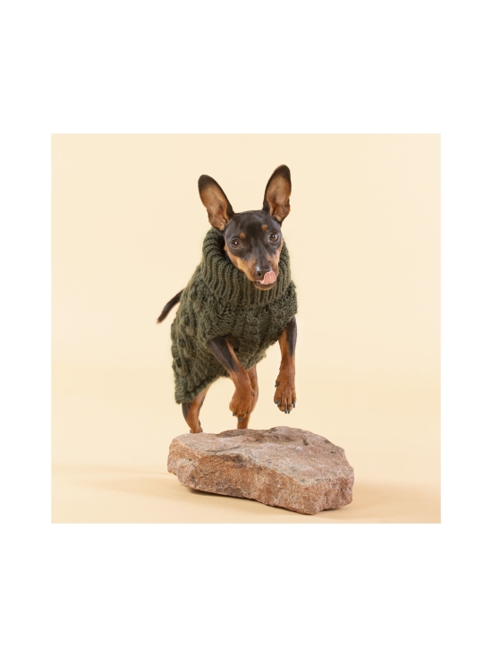 GREEN PAIKKA Handmade Knit Sweater Green for Dogs, 50