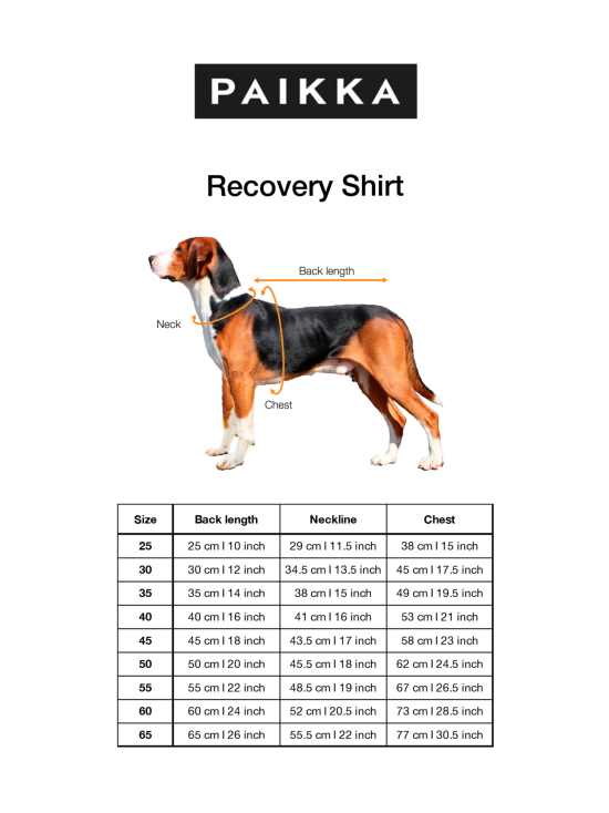 PAIKKA - Recovery Shirt - HARMAA - photo 4 PAIKKA - Recovery Shirt - HARMAA | Stockmann - photo 4
