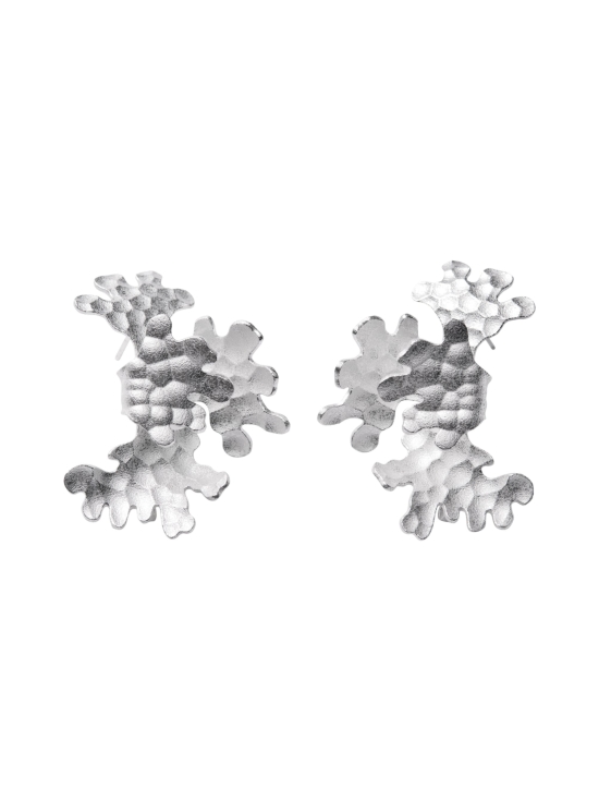 Kalevala - *Tundra korvakoru hopea 2670320T | Stockmann - photo 1