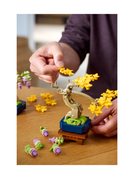 LEGO BOTANICALS - LEGO Botanicals Minikokoiset bonsaipuut 10373 | Stockmann - photo 7
