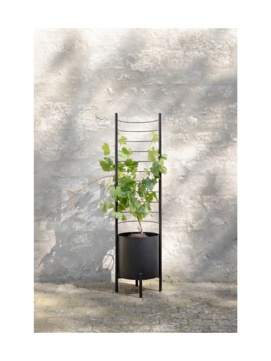 Eva Solo Outdoor - Simply Grow tuki ulkoruukkuun Ø37cm - MUSTA - photo 4 Eva Solo Outdoor - Simply Grow tuki ulkoruukkuun Ø37cm - MUSTA | Stockmann - photo 4