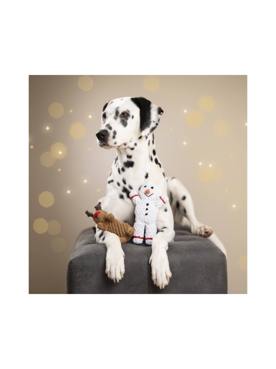 Laboni - Lelupaketti #5 - Shawn, Rudi, Hertha | Stockmann - photo 2