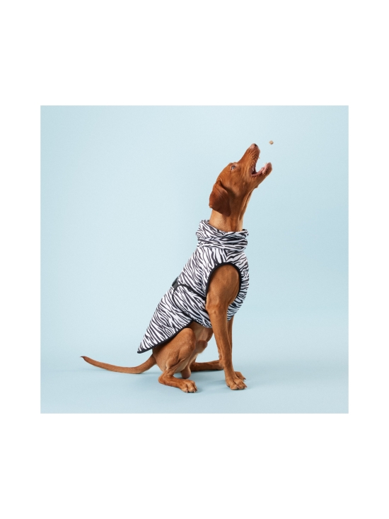 PAIKKA - Cool & Bug Vest - Repeltec for dogs - ZEBRA - photo 3 PAIKKA - Cool & Bug Vest - Repeltec for dogs - ZEBRA | Stockmann - photo 3