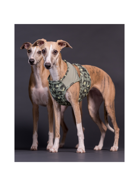 PAIKKA - PAIKKA Cool Vest Green Leo - photo 1 PAIKKA - PAIKKA Cool Vest Green Leo | Stockmann - photo 1