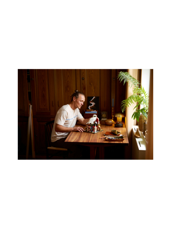 LEGO HARRY POTTER - LEGO Harry Potter Viisasten kivi – keräilyversio 76466 | Stockmann - photo 5