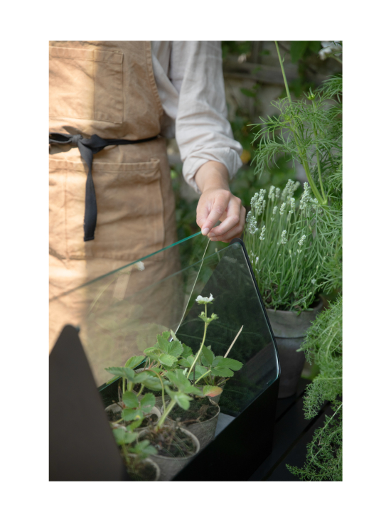 Eva Solo Outdoor - Simply Grow minikasvihuone - MUSTA - photo 7 Eva Solo Outdoor - Simply Grow minikasvihuone - MUSTA | Stockmann - photo 7
