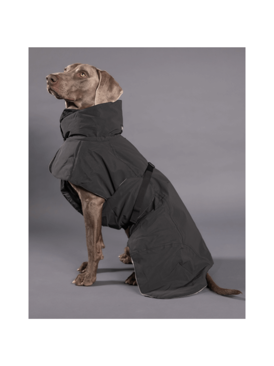 PAIKKA - PAIKKA Visibility Winter Jacket Dark - BLACK - photo 1 PAIKKA - PAIKKA Visibility Winter Jacket Dark - BLACK | Stockmann - photo 1