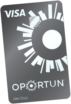 national cash advance scams