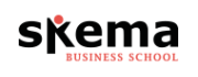 Skema BS