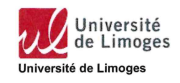 IUT Limoges