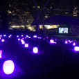 A cluster of purple lighted urns illuminating a grassy area.