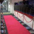 A hallway adorned with a luxurious red carpet.