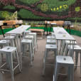 A set of white hairpin high bar stools in front of a green wall.