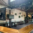 A bar featuring a suspended TV and lush plants adorning the ceiling.