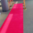 A 7m red carpet in front of a building.
