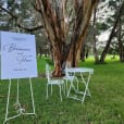 An easel used to hold a wedding sign