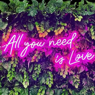 Neon Sign Hire: All You Need Is Love